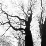 Rýchorské kontrasty