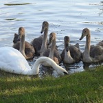 Co se v mládí naučíš