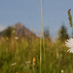 Ještě je to daleko