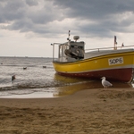 Johnatan Livingstone hlídá