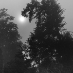 Drak žere sluníčko