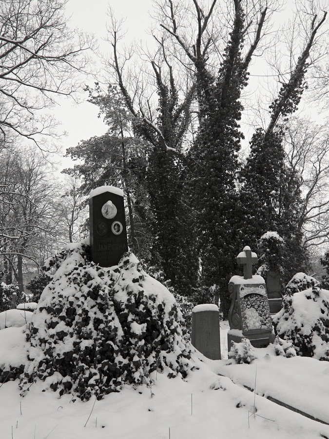 Zahrady ticha a zapomnění