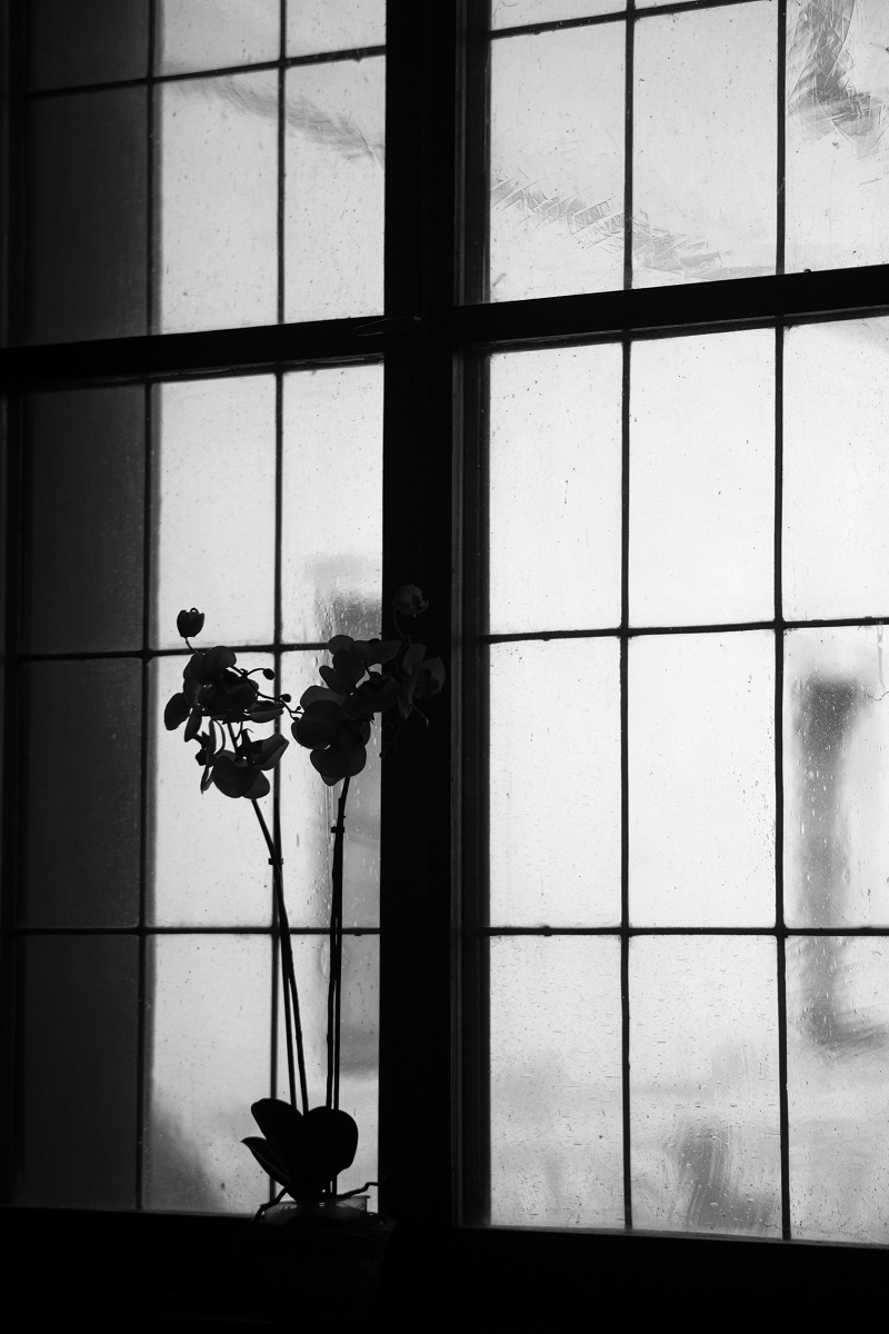 V sázavském klášteře