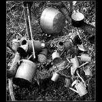 Zátiší zahrádkáře