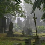 Zahrady ticha a zapomnění