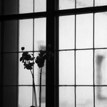 V sázavském klášteře