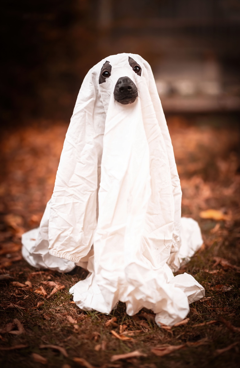 My jsme připraveni.