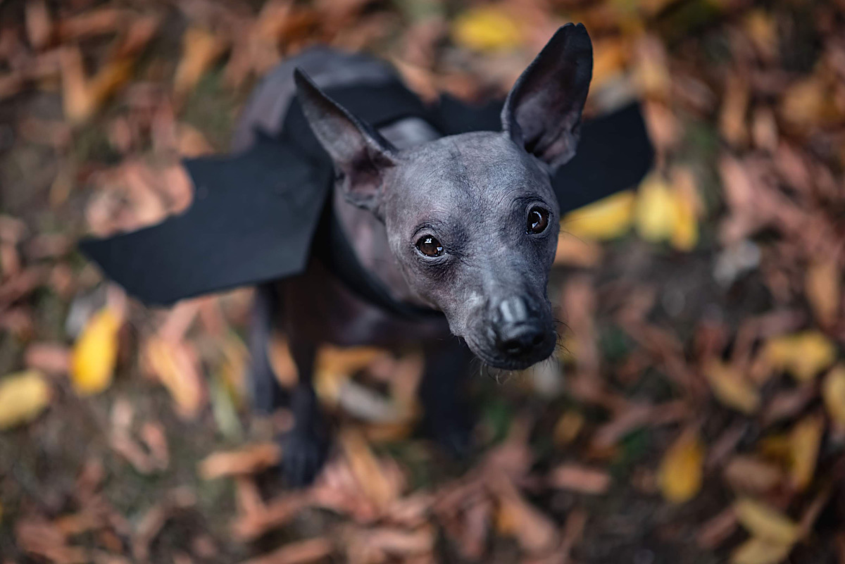 Jsme víc než připraveni :-D