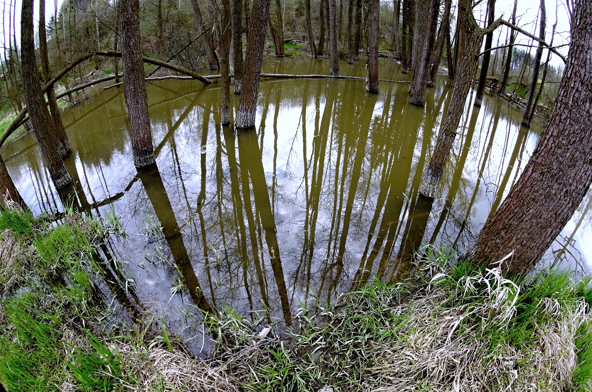 Bobří jezero
