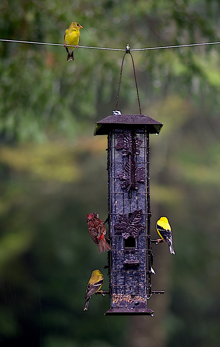 Pohnete , nekdo jde!