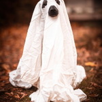 My jsme připraveni.