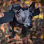 Jsme víc než připraveni :-D