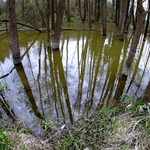 Bobří jezero