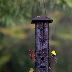 Pohnete , nekdo jde!