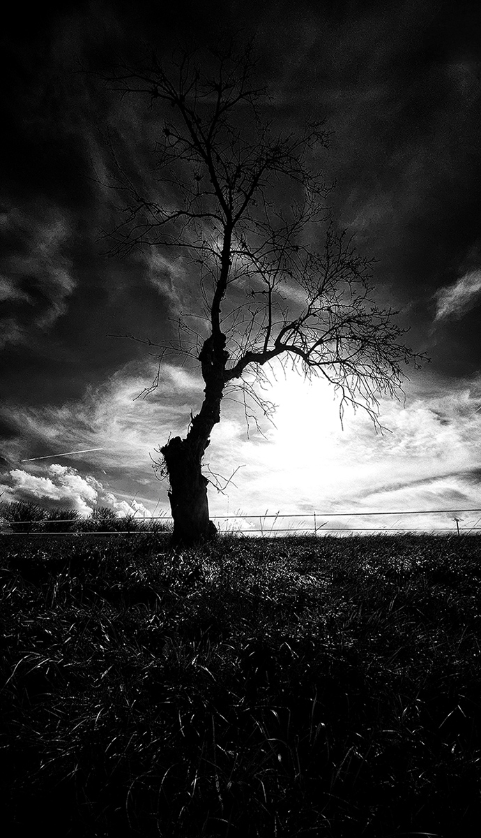 Osamělý strážce světla....