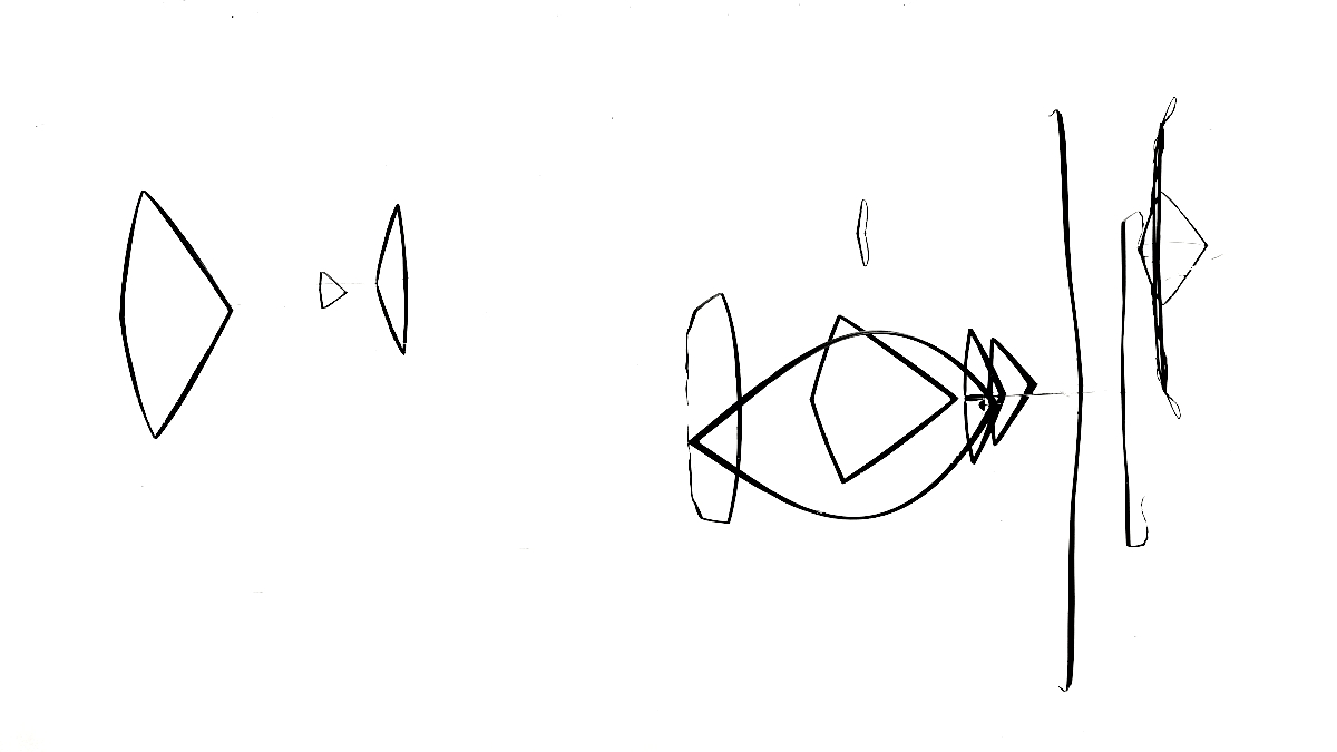 Hieroglyfy v pírodě