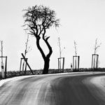 Mateřská školka na procházce