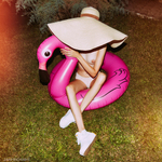 Plameniak v noci na trávniku