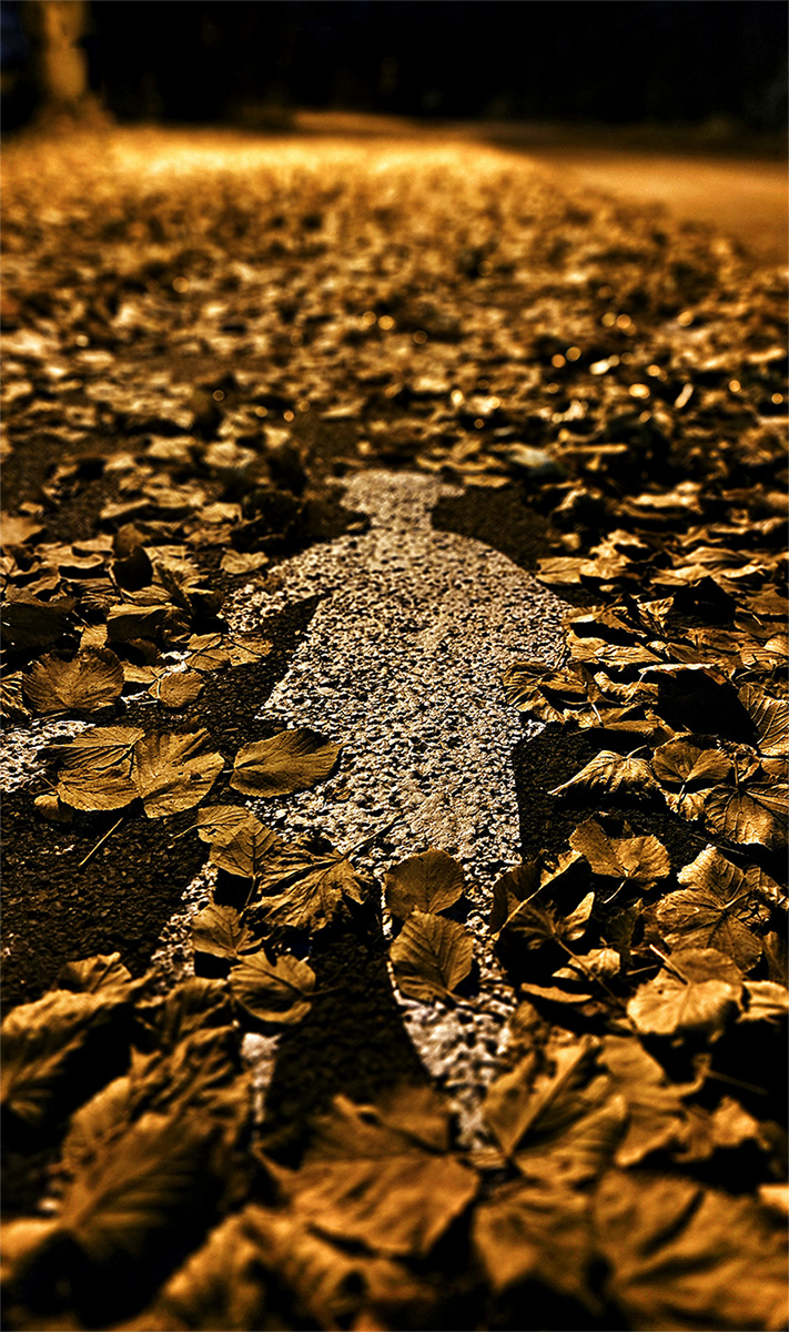 Pane pane, kudy tudy.... :o)