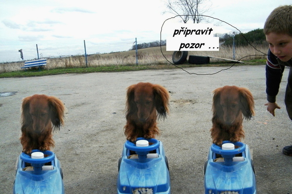 štastný start do nového roku vám všem