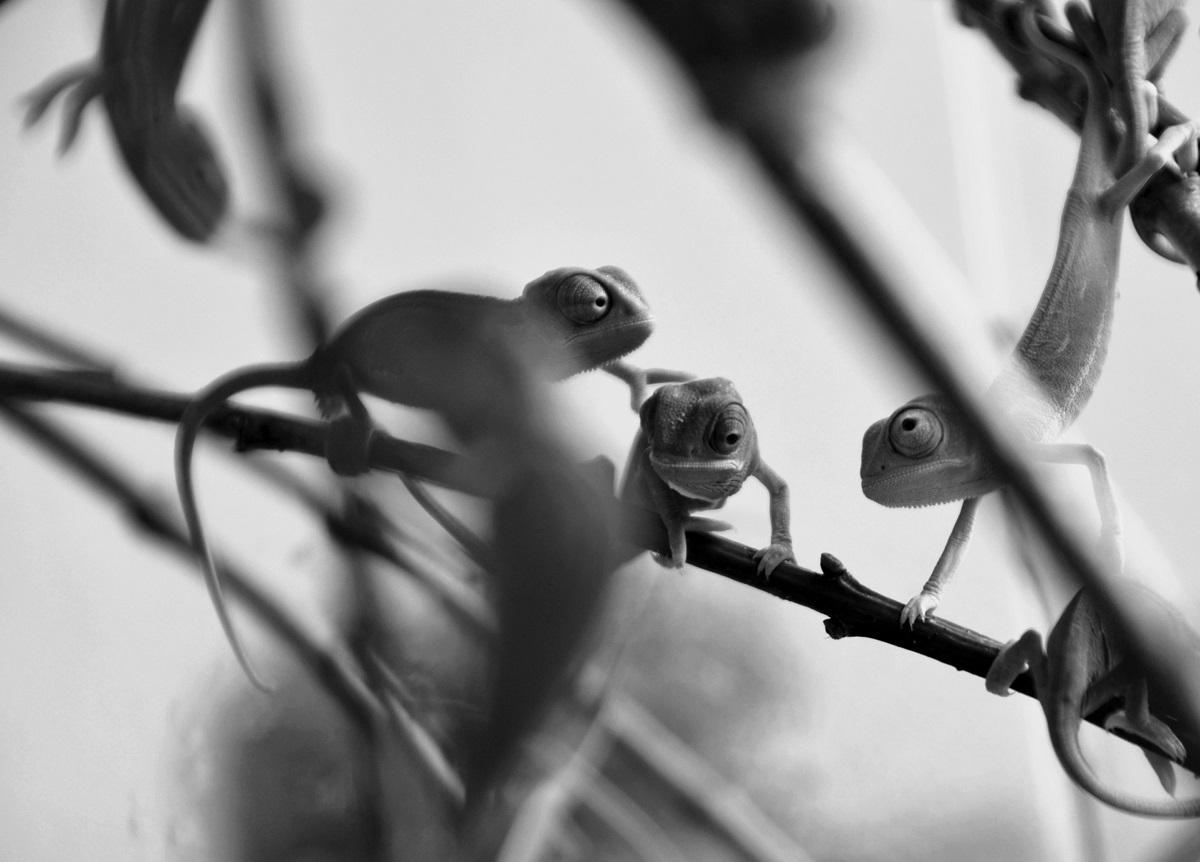 Neboj, taky dostaneš snídani