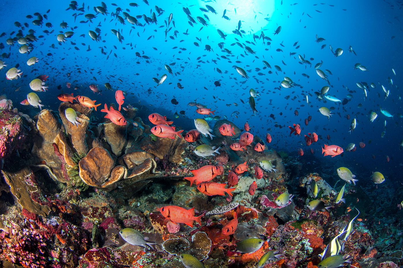 Pět metrů pod hladinou