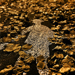 Pane pane, kudy tudy.... :o)