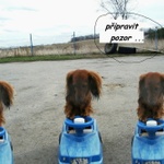 štastný start do nového roku vám všem