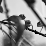 Neboj, taky dostaneš snídani