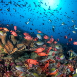 Pět metrů pod hladinou