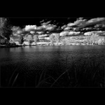 Černobílé omalovánky