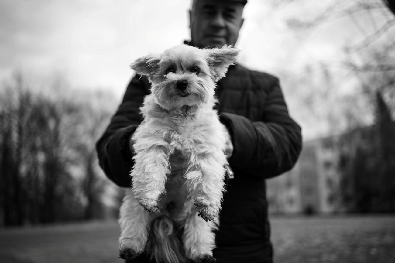 Kategorie: Sousedi a sousedovic psi