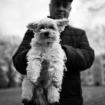 Kategorie: Sousedi a sousedovic psi