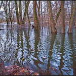 když koryta nestačí