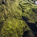 ..detail v krajině mimo soutěž..