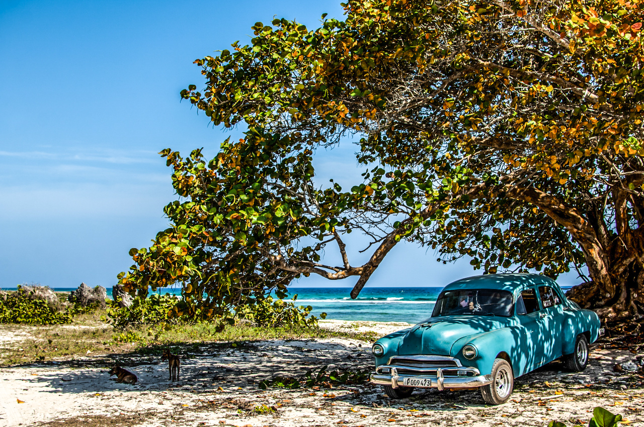 nedělní odpoledne v zátoce sviní