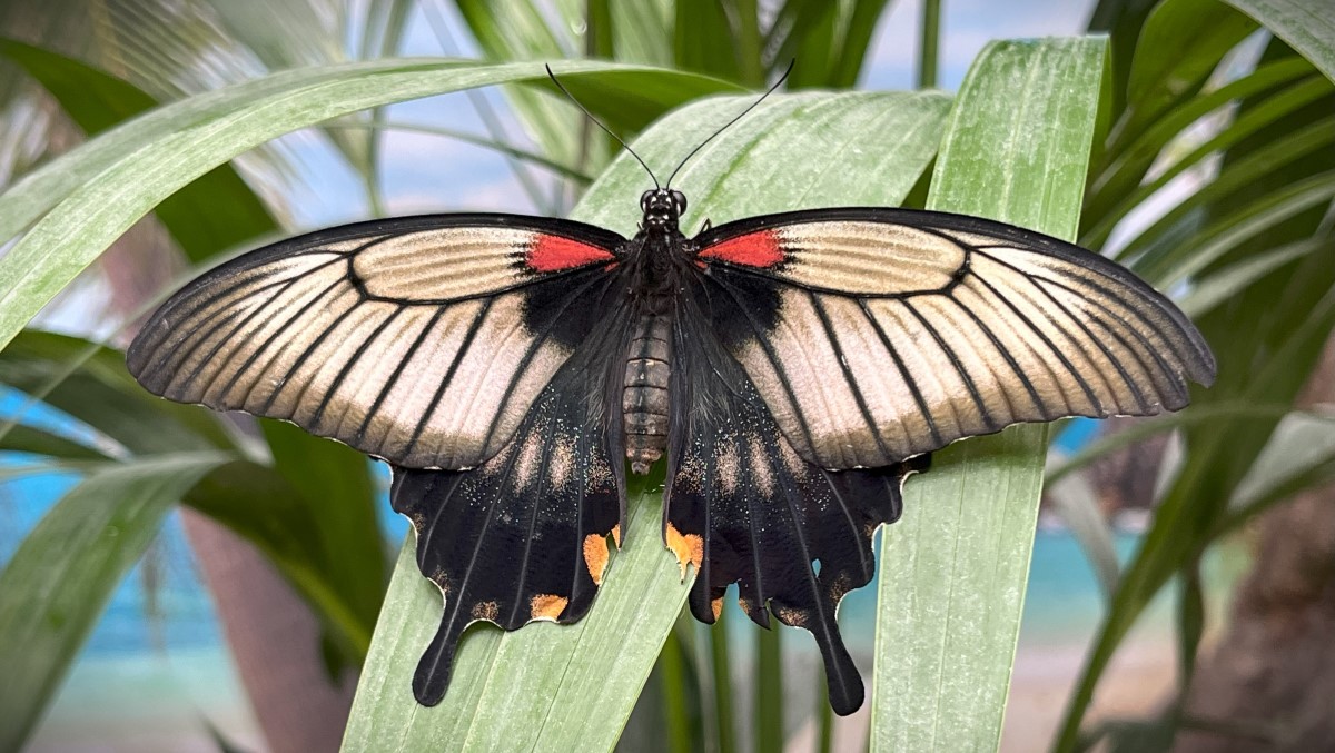 Na chvíli v tropech :-)