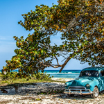 nedělní odpoledne v zátoce sviní