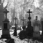 Zahrady ticha a zapomnění