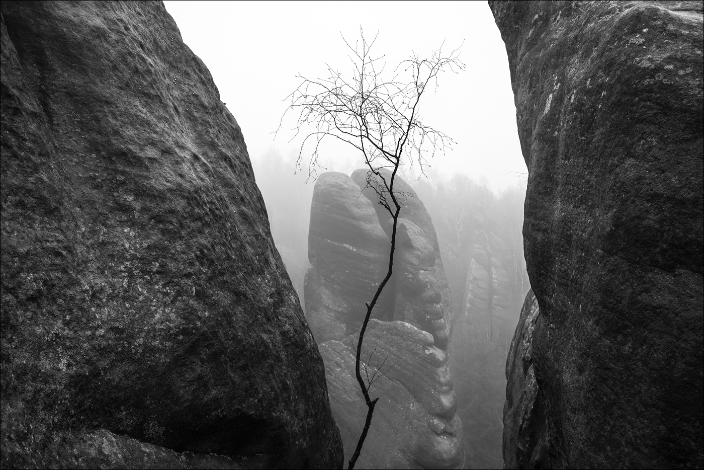 V broumovských stěnách