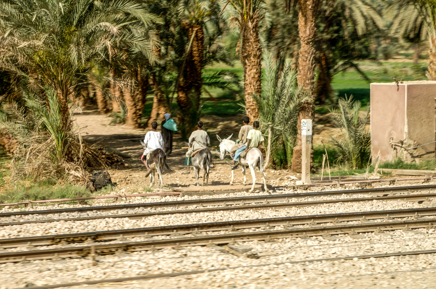 kluci jdou asi ze školy....