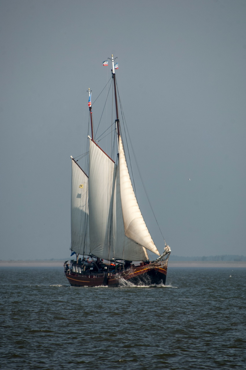 Waddennelanden