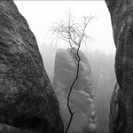 V broumovských stěnách