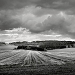 Vysočina u Skřivánku