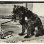 plzeň by byla lepší