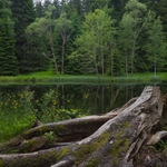 jezírko Brloh Šumava