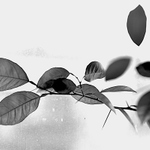 Listova kompozice s vertikalnim uletem