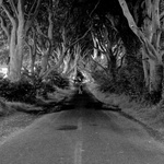 dark hedges