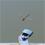 ...už mají zavřeno!