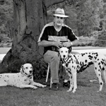 Františkovy Lázně